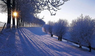 百泉冻皆咽,我吟寒更切,翻译