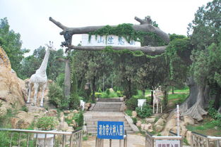 孔子过泰山侧 全文翻译