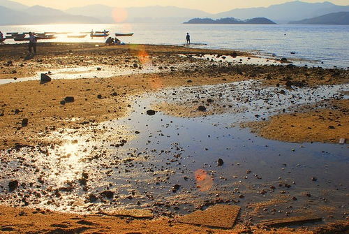 退潮时间一般在几点?