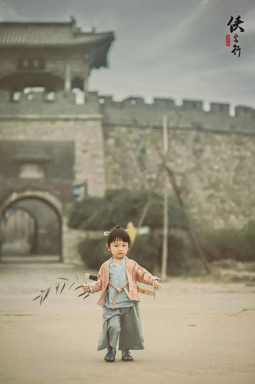 紫骝马古诗，紫骝马卢照邻