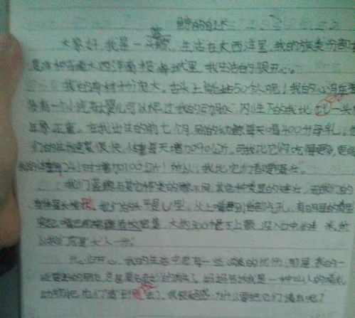 鲸的自述优秀作文