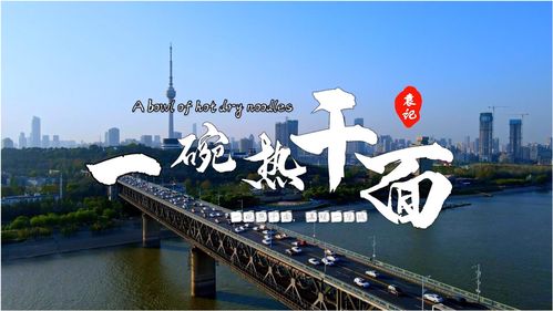 特立和起点如日哪个质量好