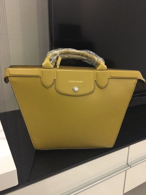 Champ是什么意思 《法语助手》法汉