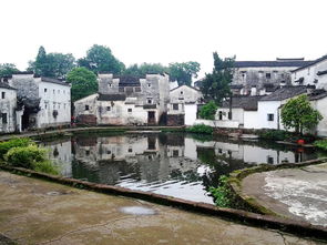 八卦村地址在哪里