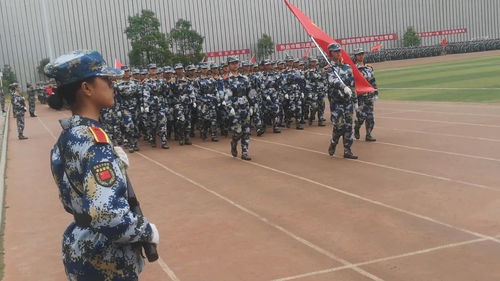 方阵是什么意思