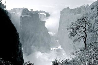 铿锵恢宏的意思，壮丽恢宏的意思