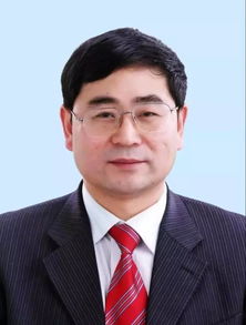 cited by，cited by翻译