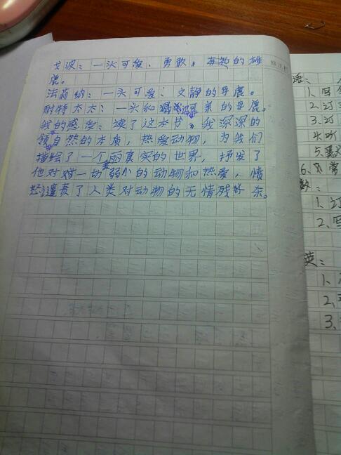 读书笔记摘抄好词好句好段