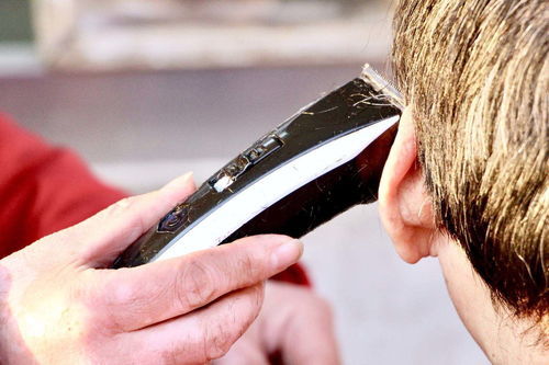 不足挂齿造句，不足挂齿是形容什么