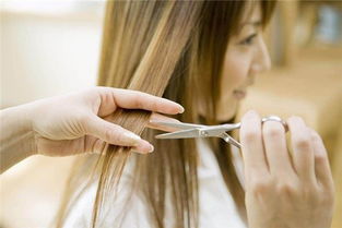 做梦梦见剪头发是什么意思