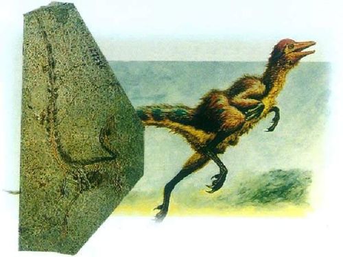 化石吟的翻译和赏析