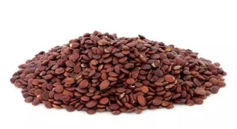 丹芝卫浴是几线品牌