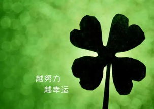 光阴荏苒的拼音 成语，光阴荏苒拼音怎么写