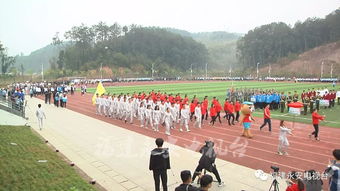 什么叫方阵花坛，什么叫方阵队形