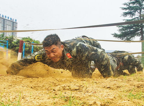 匍匐前进 [pú fú qián jìn]什么意思?近义词和反义词是什么?英文