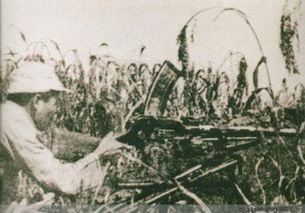 沙后所豆包哪家好