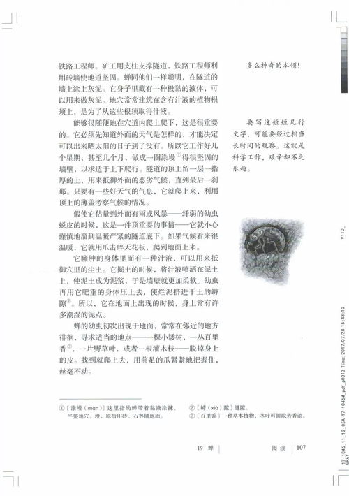 八年级上册语文书电子版怎么投屏看