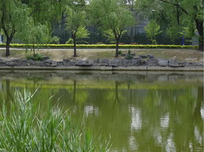 柳荫村位于哪里