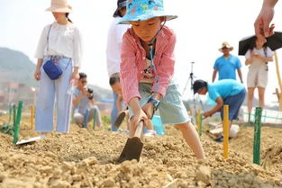 劳动的收获作文400字，劳动的收获作文200字