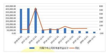 归母股东权益是什么意思，股东权益是什么意思 举例