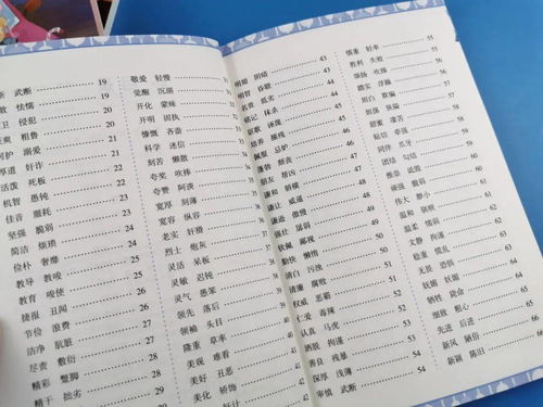 褒义的拼音