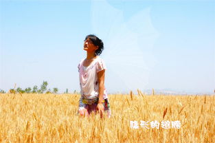 守望麦田国语版叫什么，守望麦田的稻草人