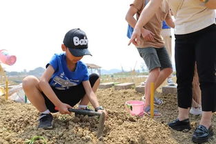 劳动的感受和收获怎么写?