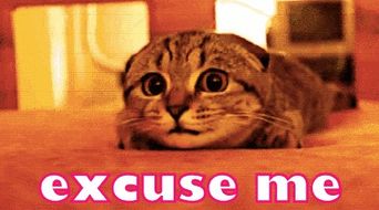 excuse怎么读英语单词，excuse me怎么读