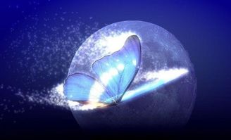 蝴蝶效应是什么意思