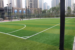 一个足球场多少亩土地，一亩等于多少平方米