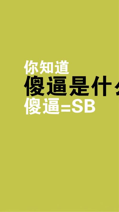 英语中的sb是什么意思?表示什么?