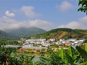 广西一年四季的气候是什么样的