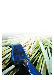 篾刀怎么读，风筝竹条篾刀