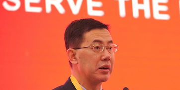 DISSIMILARITY是什么牌子