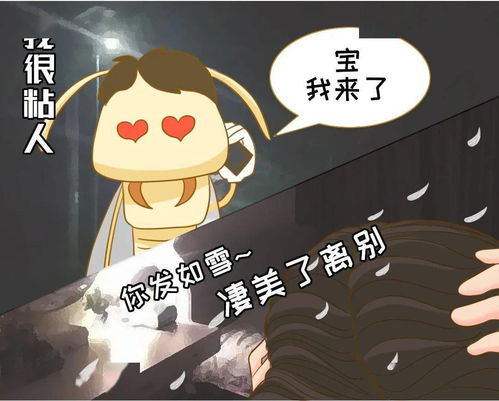 蔡琴《被遗忘的时光》的歌词?