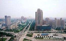 现在上海温度多少