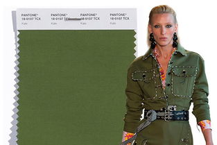 kale是什么意思英语