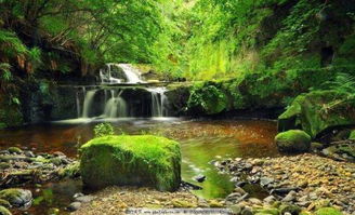 形容天气晴朗的成语春天，形容天气晴朗的优美句子