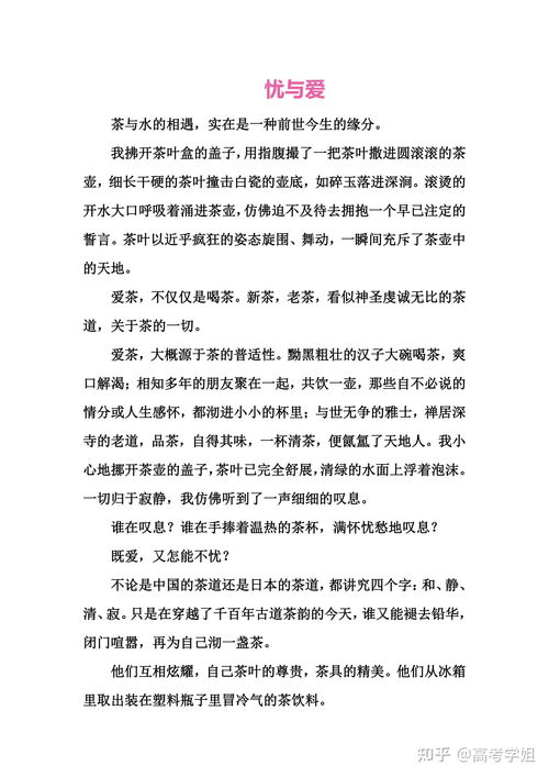 高考满分作文及点评解析，作文高考满分作文
