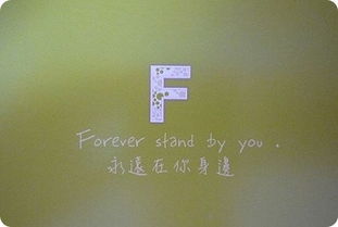 fly翻译，for翻译