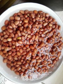 红豆的功效与作用是什么