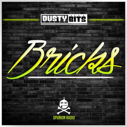 bricks是什么意思，bricks and mortar