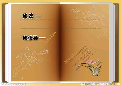 高级的摩洛哥羊皮书