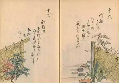 篱落疏疏一径深是哪首古诗，篱落疏疏一径深的后一句是什么