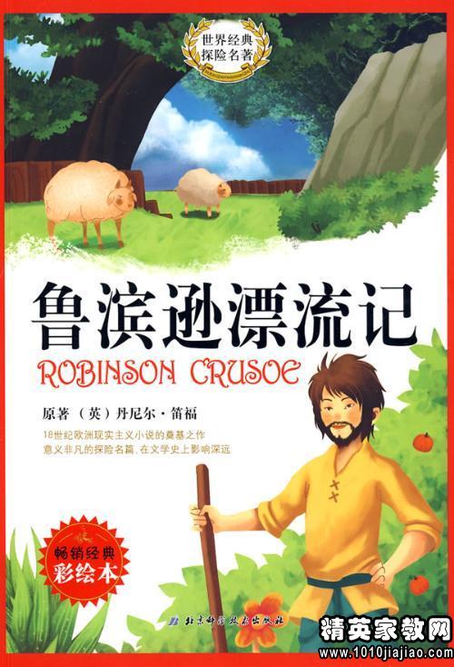 鲁滨逊漂流记读后感450字六年级，鲁滨逊漂流记书籍