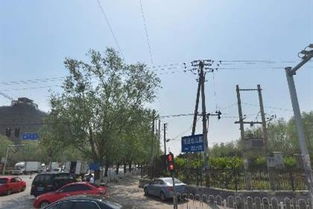 泰梨园韩剧男主，泰梨园踩踏事件时间