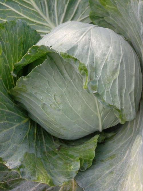 不是是造句大全小学，不是是造句子三年级下册