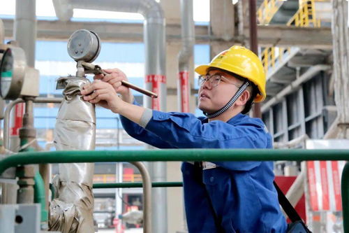 【攻关】的意思是什么?【攻关】是什么意思?