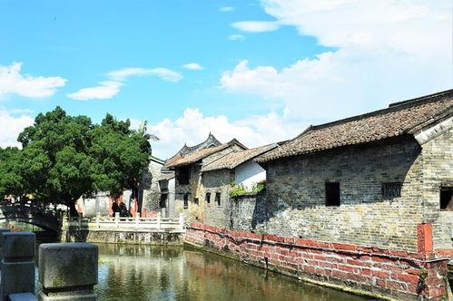 南社是南国社吗