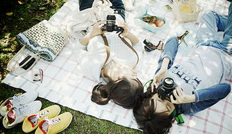 午后阳光的优美句子有哪些?